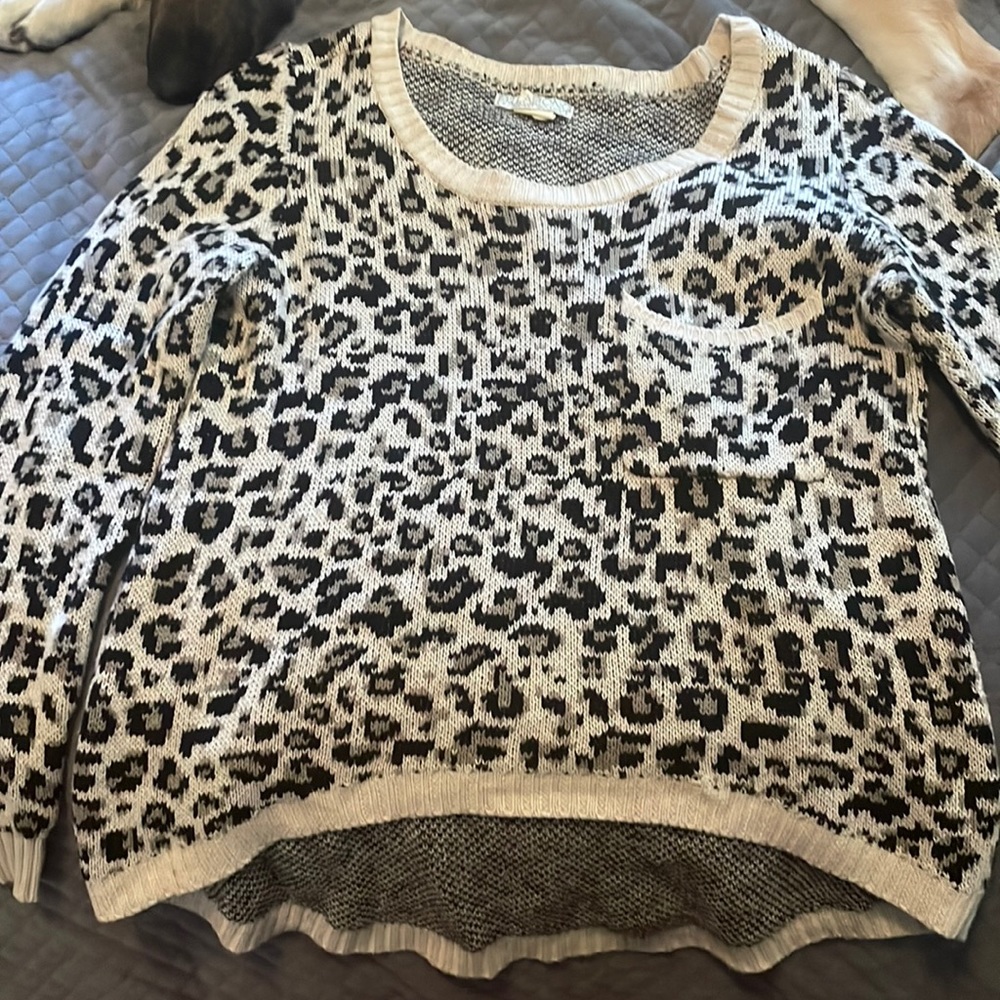 High low cropped sweater
